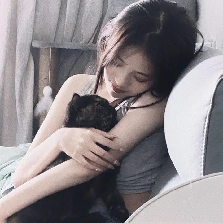 小蜜蜂 勇气的旋律